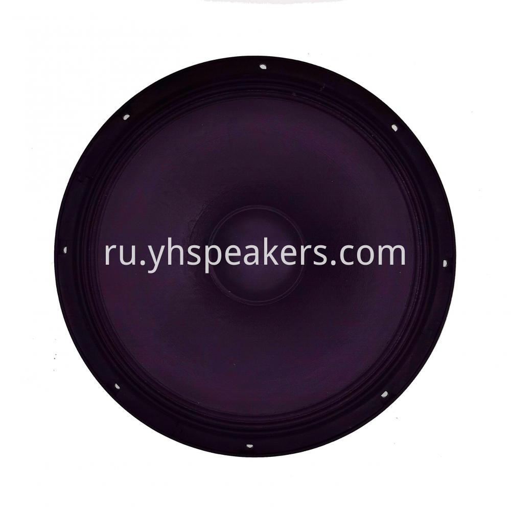 15" Professional Audio Video Speaker